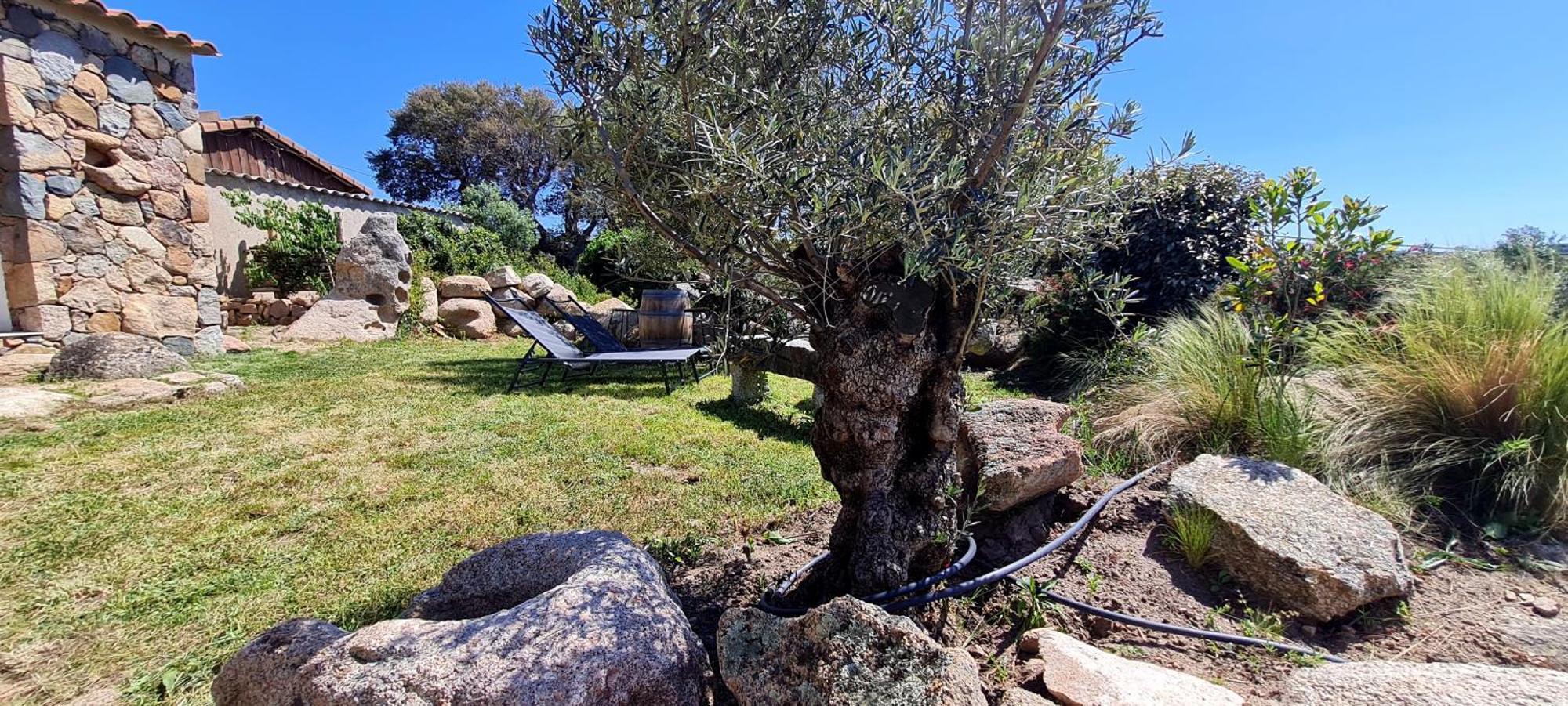 Bergerie A Sapara Pianottoli-Caldarello (Corsica) Exterior foto